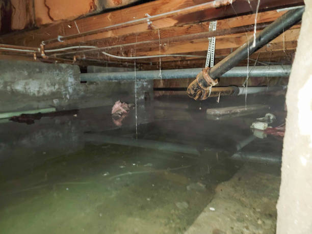Best Emergency water damage restoration  in Lakeside, VA