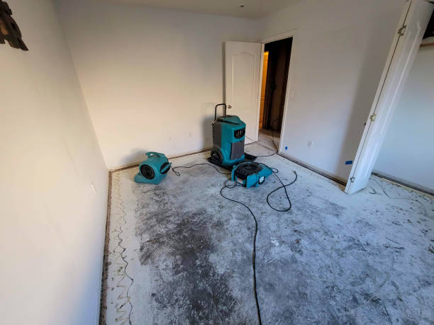 Best Water damage restoration services  in Lakeside, VA