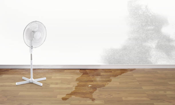Best Commercial water damage restoration  in Lakeside, VA