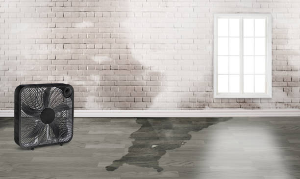 Lakeside, VA Water damage restoration Company