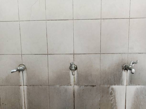 Best 24-hour water damage restoration  in Lakeside, VA